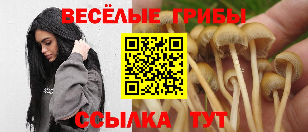 Протвино  Псилоцибиновые грибы Psilocybine cubensis  Вход с VPN 