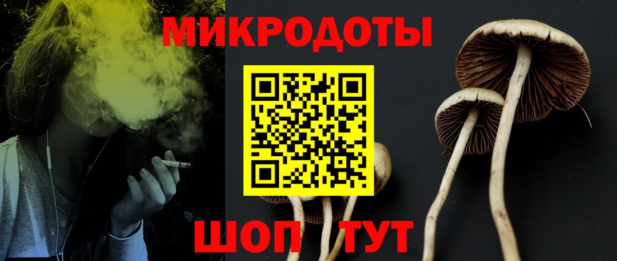 Галлюциногенные грибы Magic Shrooms Протвино